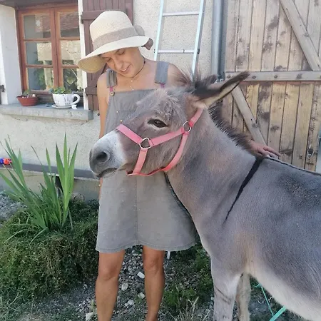 4 Pers Proche Cure Thermale, Futuroscope, Calme Et Nature à Posay La Roche-Posay