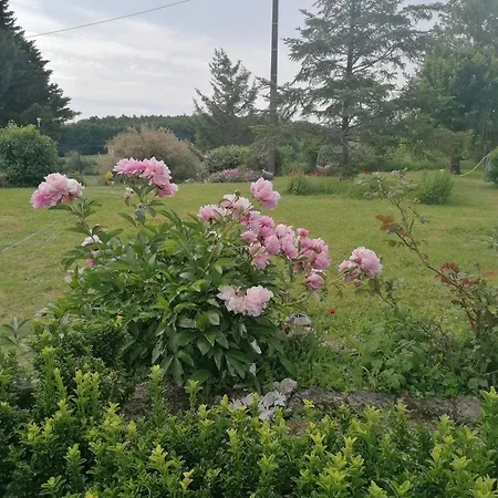 Gite 4 Pers, Jacuzzi, Piscine, Proche Futuroscope, Calme Et Nature A La Roche Posay La Roche-Posay