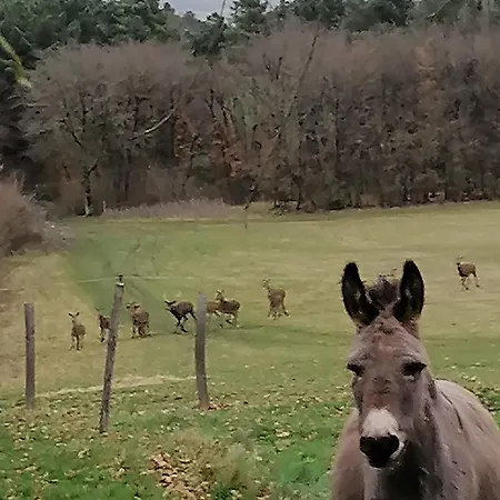 4 Pers Proche Cure Thermale, Futuroscope, Calme Et Nature à Posay *