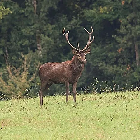 4 Pers Proche Cure Thermale, Futuroscope, Calme Et Nature à Posay