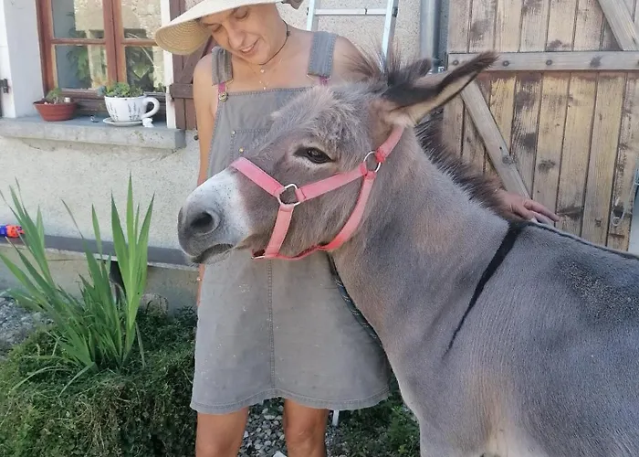 4 Pers Proche Cure Thermale, Futuroscope, Calme Et Nature A Posay La Roche-Posay