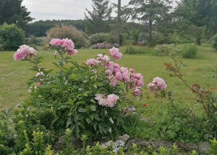 4 Pers Proche Cure Thermale, Futuroscope, Calme Et Nature A Posay La Roche-Posay