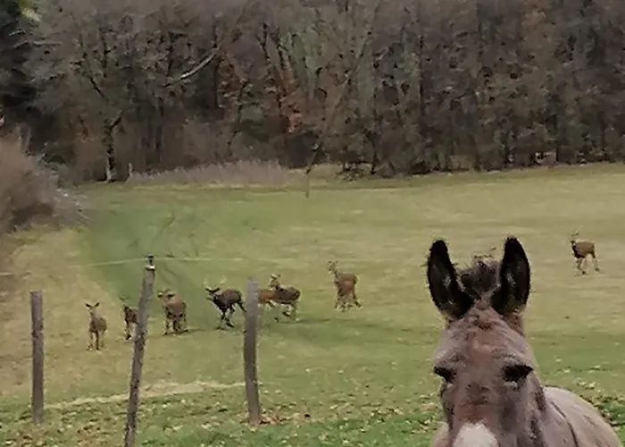 4 Pers Proche Cure Thermale, Futuroscope, Calme Et Nature A Posay *