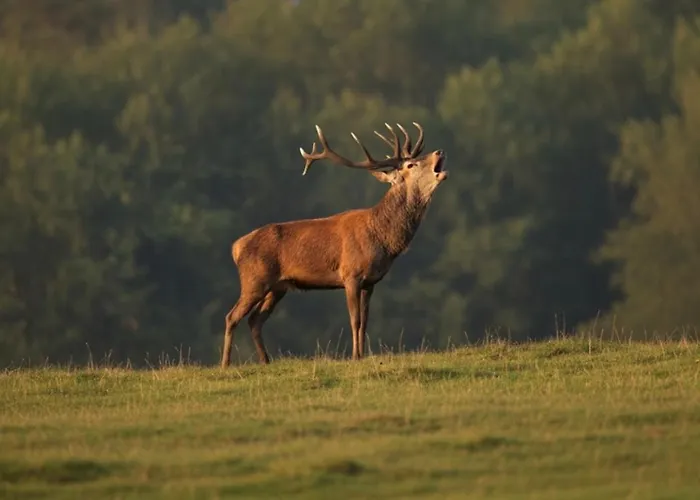 4 Pers Proche Cure Thermale, Futuroscope, Calme Et Nature A Posay Сasa de vacaciones